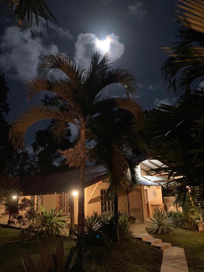 Pura Vida Vegana Hotell Cahuita Eksteriør bilde