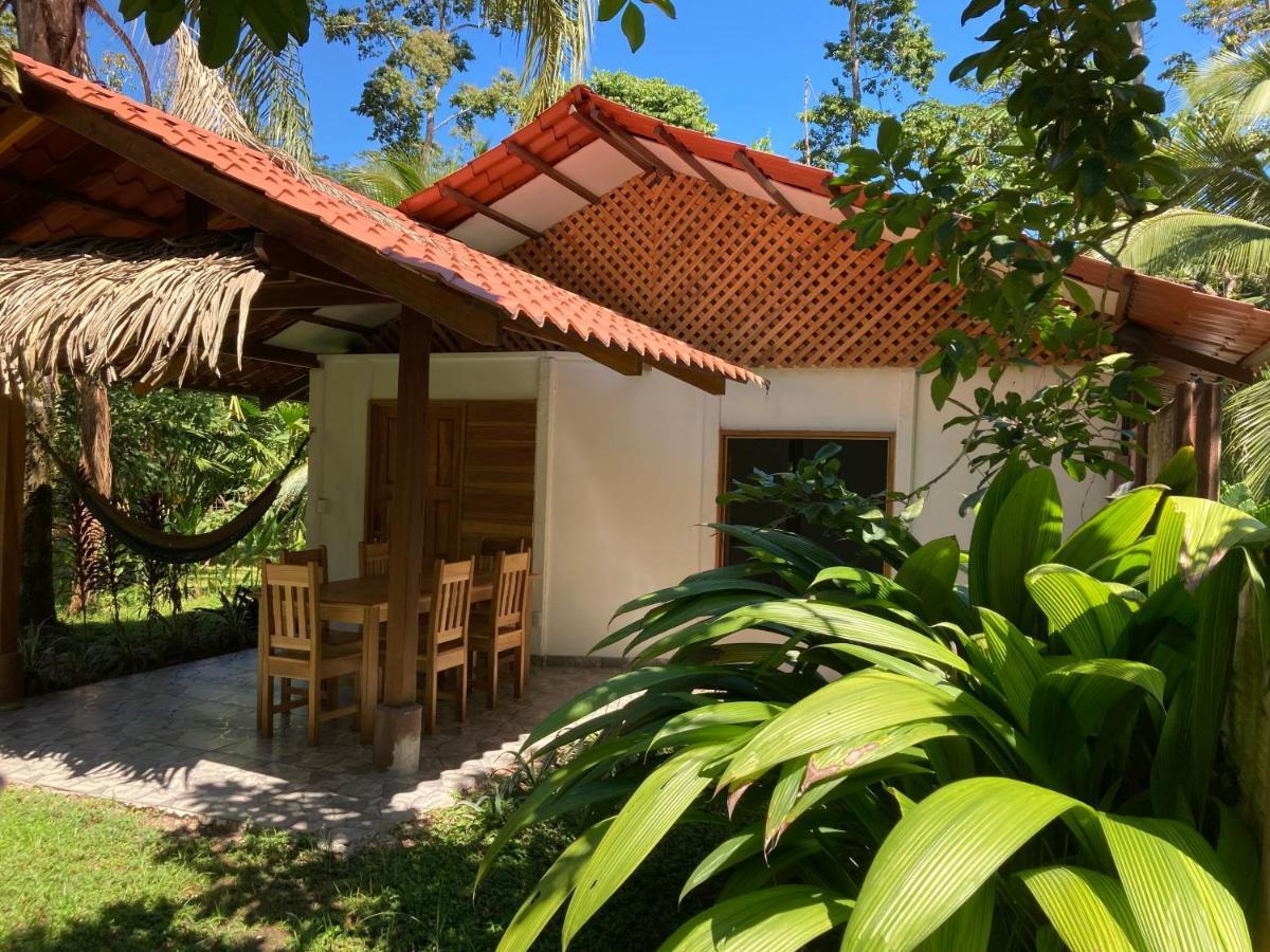 Pura Vida Vegana Hotell Cahuita Eksteriør bilde