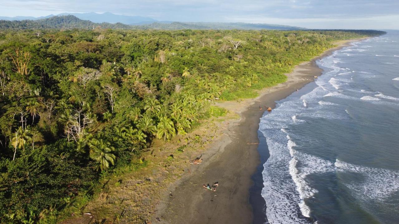Pura Vida Vegana Hotell Cahuita Eksteriør bilde