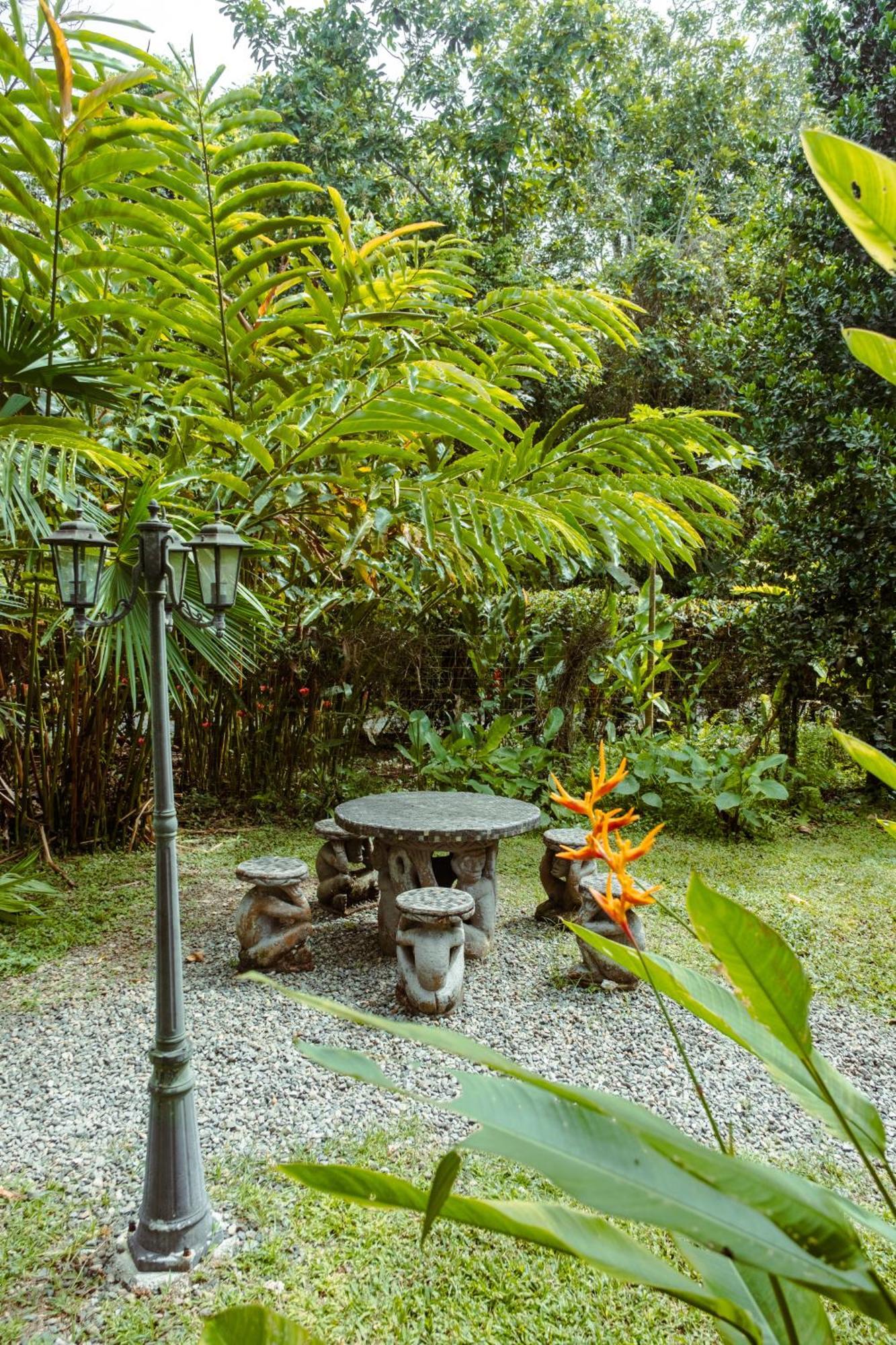 Pura Vida Vegana Hotell Cahuita Eksteriør bilde